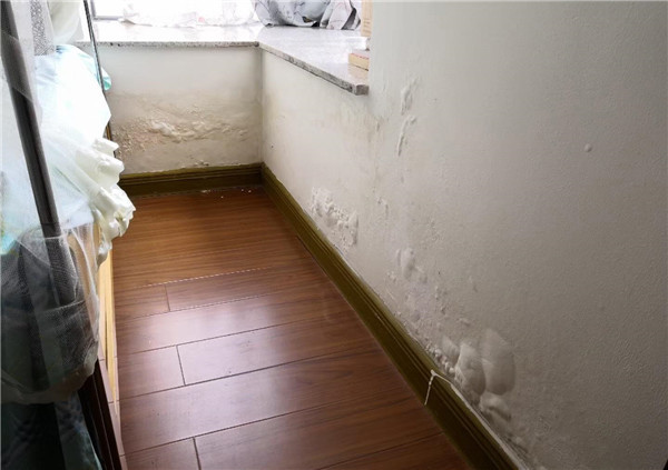 新房墻面受潮的影響 新房墻面受潮的影響